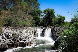 Naturaleza en Xochitepec